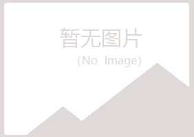 大同盼山会计有限公司